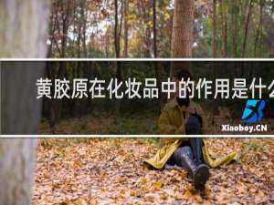 黄胶原在化妆品中的作用是什么