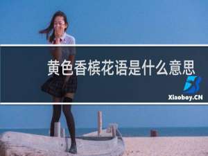 黄色香槟花语是什么意思