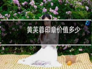 黄芙蓉印章价值多少