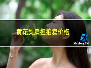 黄花梨扁担拍卖价格