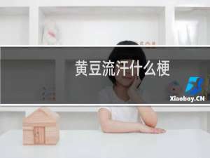 黄豆流汗什么梗