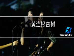 黄连银杏树
