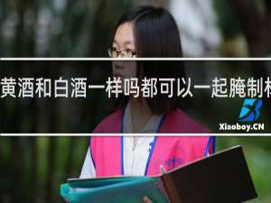 黄酒和白酒一样吗都可以一起腌制材料吗