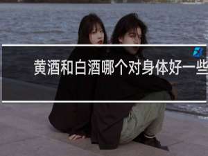 黄酒和白酒哪个对身体好一些