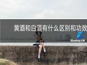 黄酒和白酒有什么区别和功效