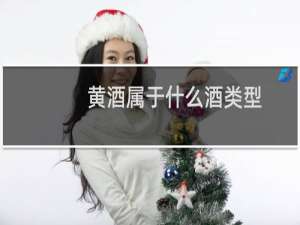 黄酒属于什么酒类型