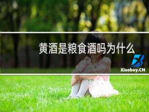 黄酒是粮食酒吗为什么
