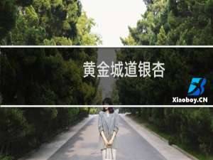黄金城道银杏