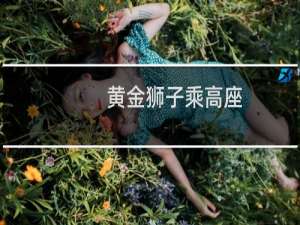 黄金狮子乘高座