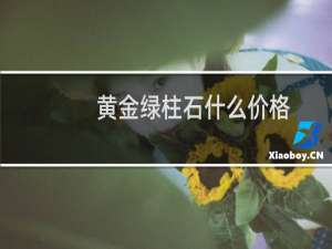 黄金绿柱石什么价格