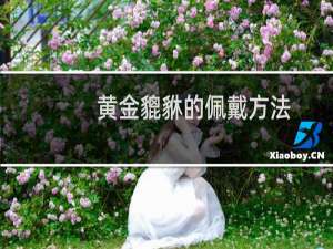 黄金貔貅的佩戴方法