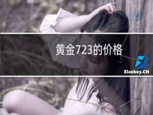 黄金723的价格