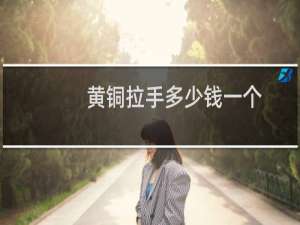 黄铜拉手多少钱一个