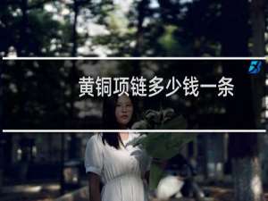 黄铜项链多少钱一条