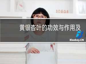 黄银杏叶的功效与作用及食用方法