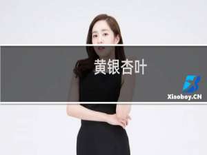 黄银杏叶