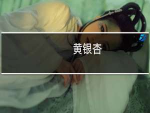 黄银杏