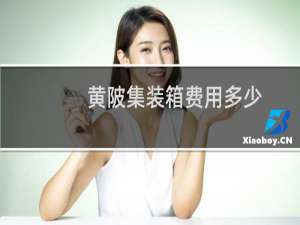 黄陂集装箱费用多少