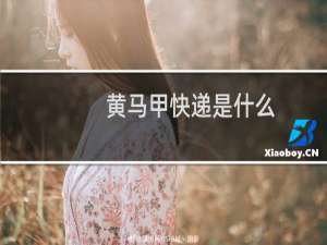 黄马甲快递是什么
