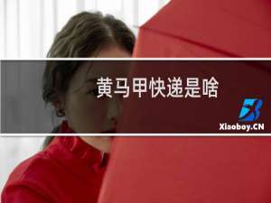 黄马甲快递是啥