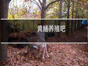 黄鳝养殖吧