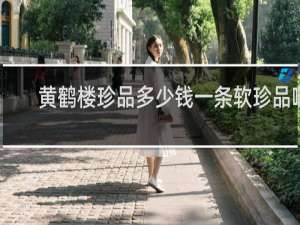 黄鹤楼珍品多少钱一条软珍品啊