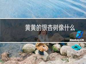黄黄的银杏树像什么