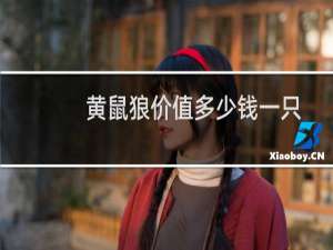 黄鼠狼价值多少钱一只