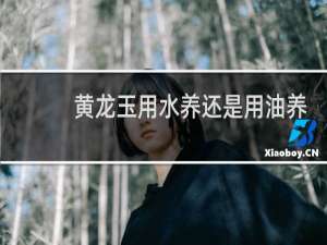 黄龙玉用水养还是用油养