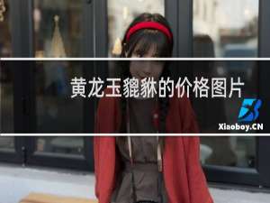 黄龙玉貔貅的价格图片