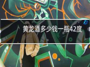 黄龙酒多少钱一瓶42度