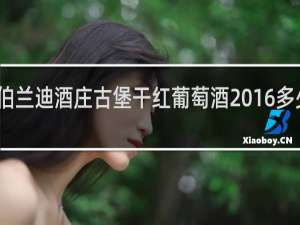 黎伯兰迪酒庄古堡干红葡萄酒2016多少钱一瓶