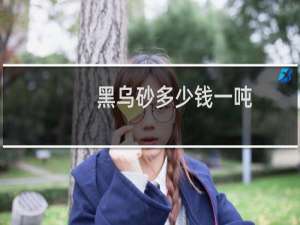黑乌砂多少钱一吨