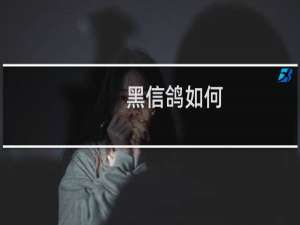 黑信鸽如何