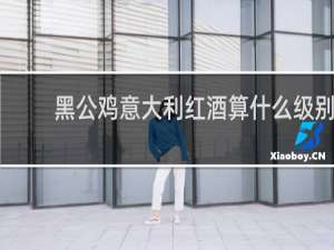黑公鸡意大利红酒算什么级别