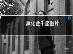黑化金牛座图片