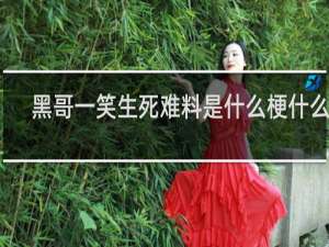 黑哥一笑生死难料是什么梗什么梗