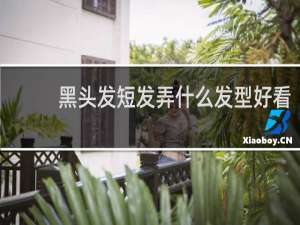 黑头发短发弄什么发型好看