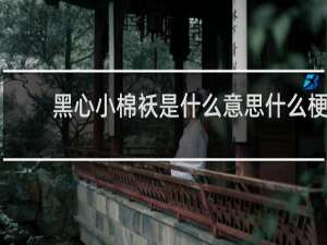 黑心小棉袄是什么意思什么梗