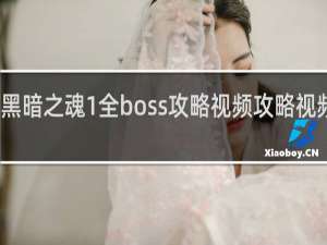黑暗之魂1全boss攻略视频攻略视频攻略