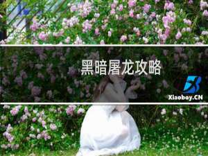 黑暗屠龙攻略
