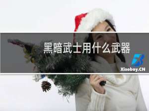 黑暗武士用什么武器（黑暗武士加点）
