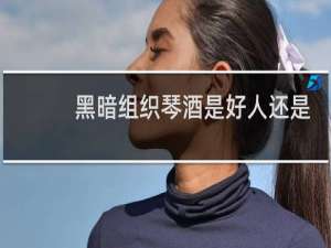 黑暗组织琴酒是好人还是坏的