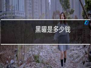 黑曜是多少钱