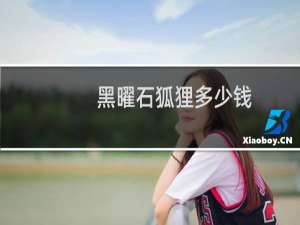 黑曜石狐狸多少钱