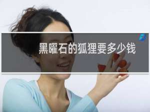 黑曜石的狐狸要多少钱