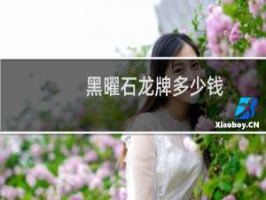 黑曜石龙牌多少钱