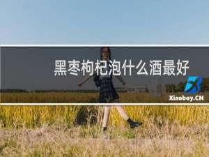 黑枣枸杞泡什么酒最好