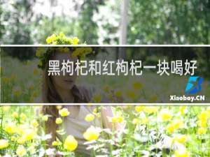 黑枸杞和红枸杞一块喝好吗