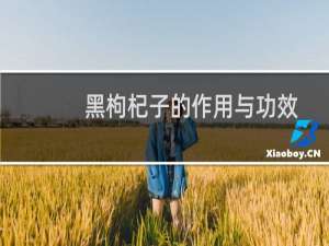 黑枸杞子的作用与功效及禁忌（黑枸杞的功效与作用及食用方法和禁忌）